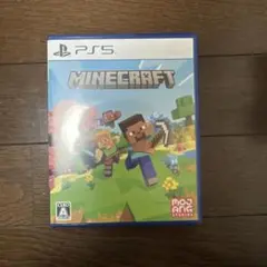 Minecraft PS5版