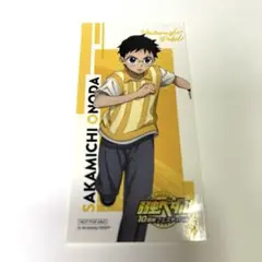 弱虫ペダル 10周年フェスティバル 小野田坂道 入場特典