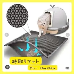 Item thumbnail for item fd200f4e-1292-4571-96b0-bb6027d945ee