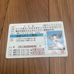 希少　なめ猫免許証