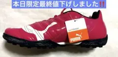 PUMA エヴォパワー4 TT 新品　未使用‼️ 27.0 超貴重‼️