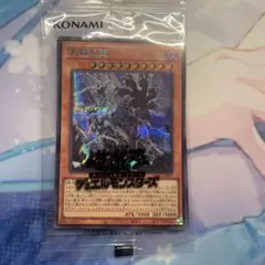 天獄の王　ブルシク　未開封