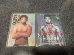 斎藤裕ファン必見！RIZINポテトスティックポスターカードコレクション