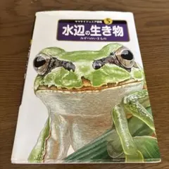 水辺の生き物　ヤマケイジュニア図鑑　山と溪谷社