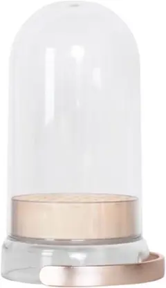 Item thumbnail for item 98081c61-c351-4df3-8f35-30a083b67117