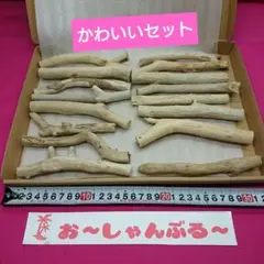 流木セットno.351