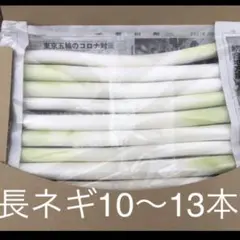 減農薬 食べ応えあるカット長ネギ‼️ A4サイズ‼️ 鍋物に最適‼️