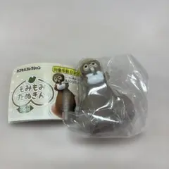 もみもみたぬきん　ガチャガチャ　白茶色