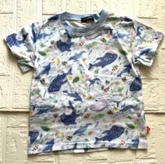 Item thumbnail for item 6f37c36f-8555-48e1-b014-1c0279349a09