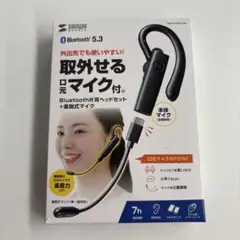 Item thumbnail for item d3232f82-0845-4d2a-9c2b-8c5c92872ca4