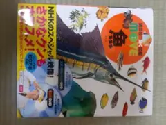 Item thumbnail for item c67fd3a3-f4e0-425a-8a0e-3728ecef9b86