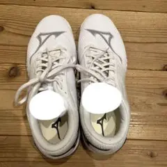 Item thumbnail for item 510d7957-2b36-4cfc-9424-b1e8dc60e1a3