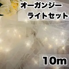 オーガンジーライトセット【5m×2枚】led3m30球❁¨̮ウェルカムスペース
