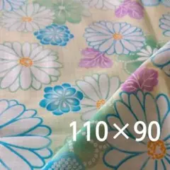 レモンクリーム 菊梅　ストライプドビー　和柄　コットン生地　110×90㎝