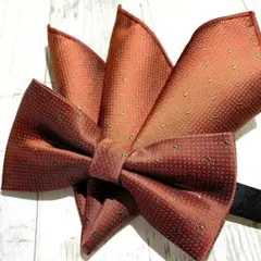 Item thumbnail for item c0d0faaa-ab6a-422f-a66c-533fde4ff789