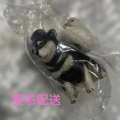 あかねの木彫りアヒルと犬柴犬(黒柴)
