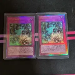 【遊戯王】UL 命王の螺旋(ドミナス・スパイラル) 2枚セット