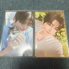 TWS はじめまして ポップアップ ジフン トレカ 猫 popup JIHOON