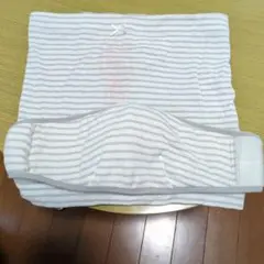 Item thumbnail for item 1854c0ae-5377-443b-8d64-4e83df3b3d71