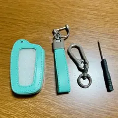 Item thumbnail for item b0fc9ae8-29da-4788-95f9-efd68455785e