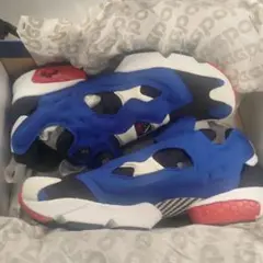 Reebok インスタポンプフューリー M40934