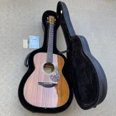 HEADWAY TF-1000C NA オールマホガニー　HC付　エレアコ　レア TF-1000C NA (Headway)