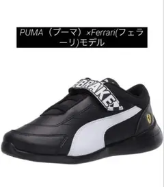 PUMA（プーマ）×Ferrari(フェラーリ)モデル　17㎝