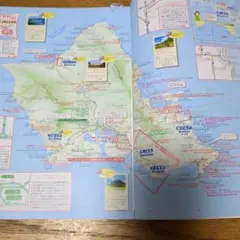 まっぶる海外ホノルル