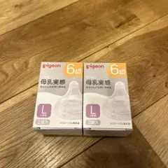 pigeon 母乳実感 Lサイズ 2個セット