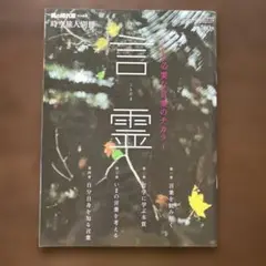 男の隠れ家　時空旅人別冊　言霊