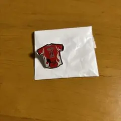 津森宥紀 ピンバッジ 鷹祭