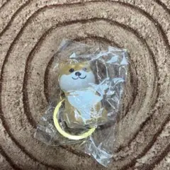 即購入OK♡けだまだま♡柴犬♡新品未開封♡豆柴
