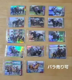 サラブレッドホースコレクション　ウエハース　2R 競馬 １７枚　カードセット
