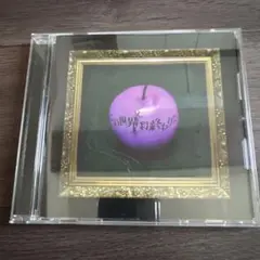 コドモドラゴン︎︎⟡この世界は終わりだ。