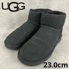 Item thumbnail for item 1444cc5d-2764-424d-859d-7c309197455e