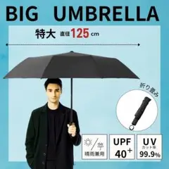 メンズ 日傘 折りたたみ 晴雨兼用 大きい 遮光 UVカット 梅雨 ゴルフ