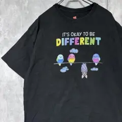 ヘインズ　HANES カラフルな鳥とコウモリのTシャツ 2XL
