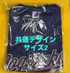 Item thumbnail for item 74243ce3-9f3b-4986-97d8-fc30e4c65894