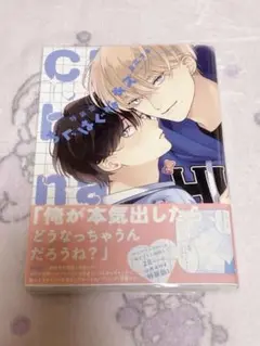 ちぐはぐなキス 特装版