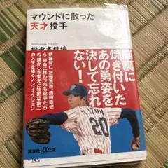 マウンドに散った天才投手