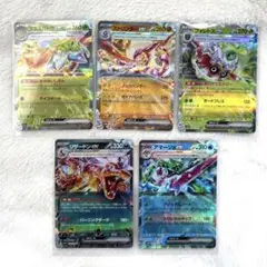 テラスタル 5枚セット