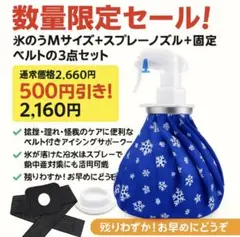大特価　氷のう・アイシング Mサイズ　スプレーノズル　固定ベルト　３点セット