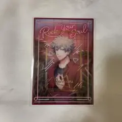 黒崎蘭丸 ビジュカ DN