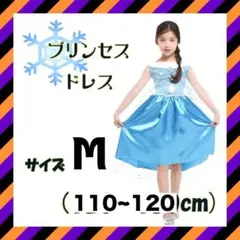 Item thumbnail for item 77dc77a1-1abe-4b43-b582-587e33b86a33