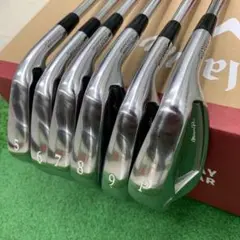 ミズノプロ 719 5-9,PW DG120 S200