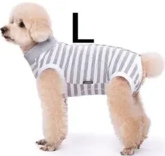 Item thumbnail for item 3c767751-817d-4317-80d3-c10963931a3a