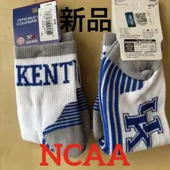 z571新品NCAA 靴下 ケンタッキーワイルドキャッツ 2足組チームソックス