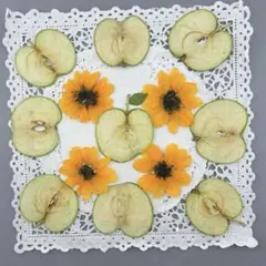 押しフルーツ♡NO387♡ミニ青りんごセット
