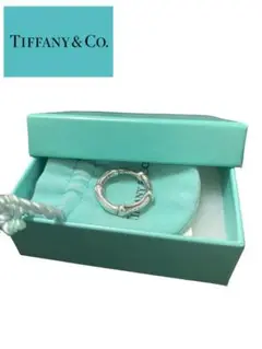 Tiffanyu0026Co ティファニー バンブーリング 1号 アクセサリー 指輪
