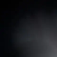 専用